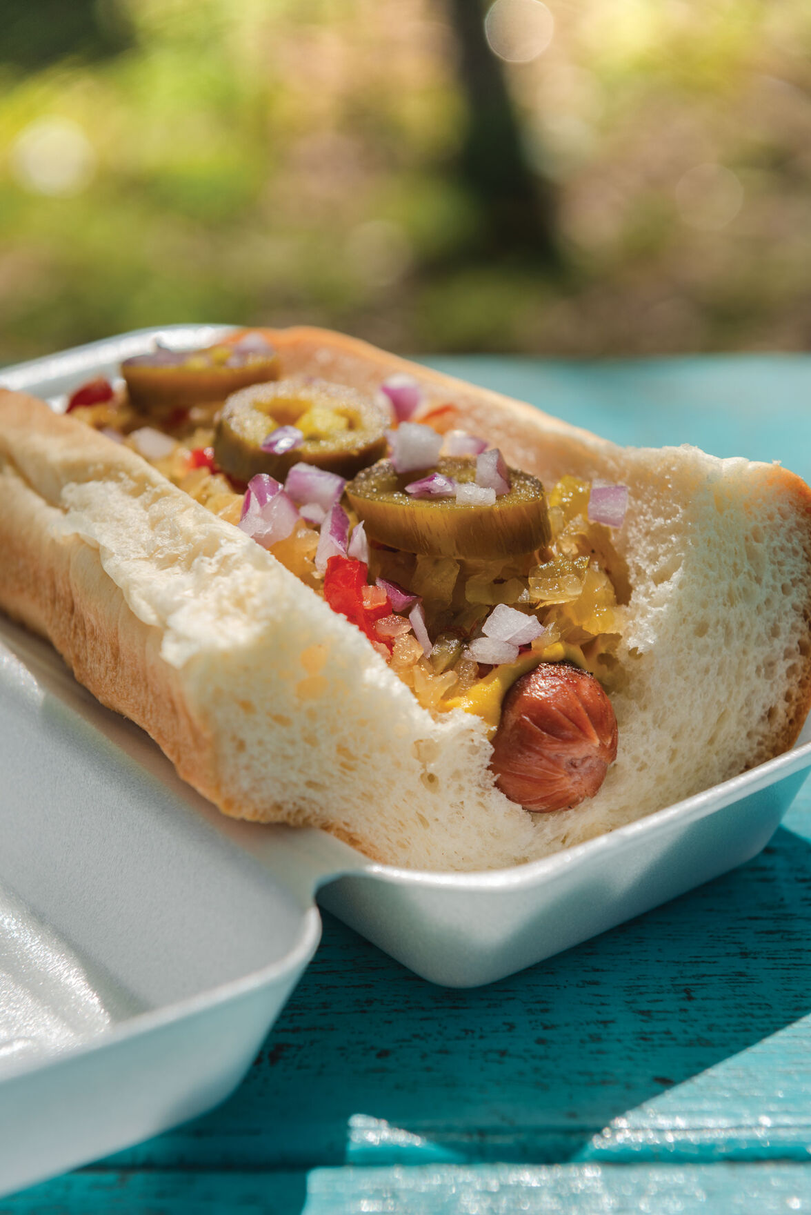 IDreamofWeenie-5568-copy.jpg